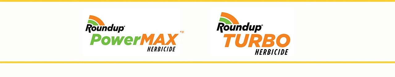 offre roundup ready